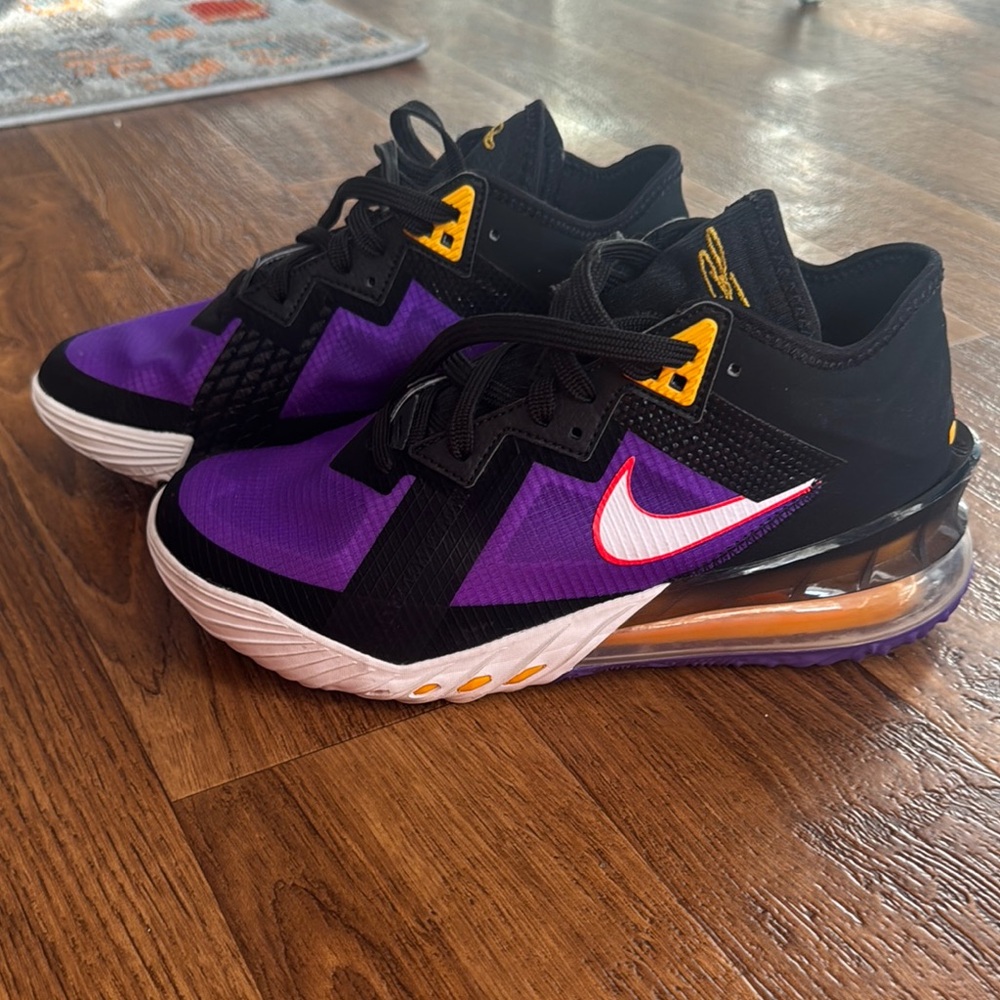 Lebron’s Nike Black and Purple Air Max Shoes